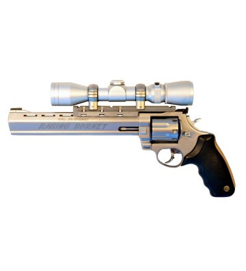 Image 1 of P-17 Taurus Raging  .Hornet  22 K Hornet 					Hornet