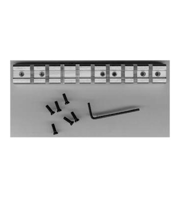 Image 1 of GM Ruger® 10/22® Action Style Base Scope Base